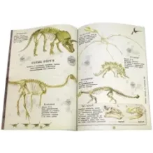 Занимательная зоология. Динозавры
