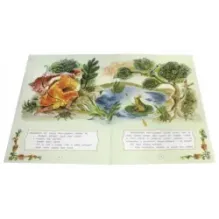 Царевна-лягушка