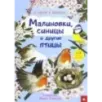 Малиновки, синицы и другие птицы