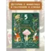 Чудеса природы. Пятиминутные истории для детей