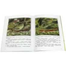 Ключ от моря