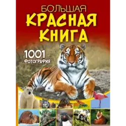 Большая красная книга. 1001 фотография