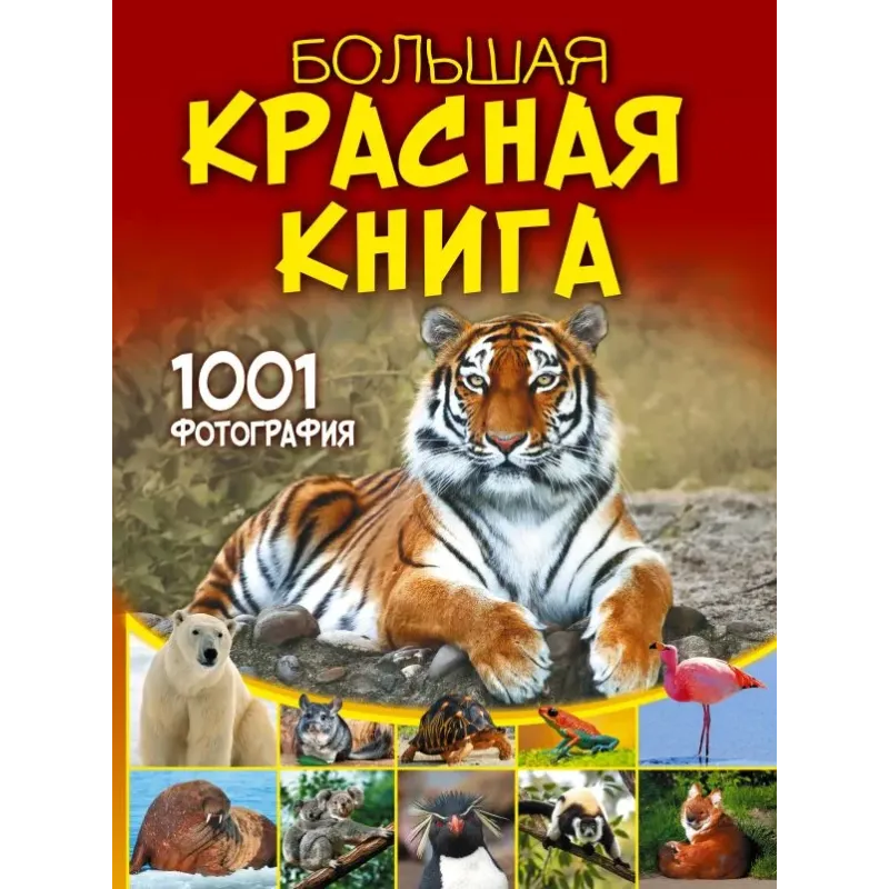 Большая красная книга. 1001 фотография Большая красная книга. 1001 фотография