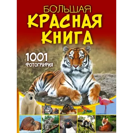 Большая красная книга. 1001 фотография
