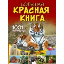 Большая красная книга. 1001 фотография