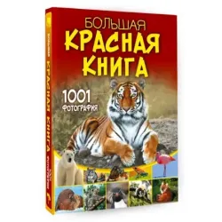 Большая красная книга. 1001 фотография