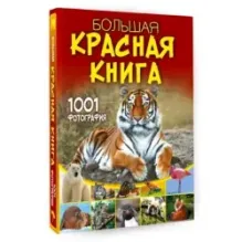 Большая красная книга. 1001 фотография