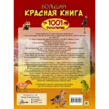 Большая красная книга. 1001 фотография