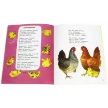 Дорожка домой