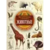 Занимательная зоология. Животные