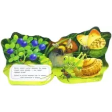 Книжка-искалочка. Жучок