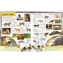 МегаZOOпанорама. Саванна