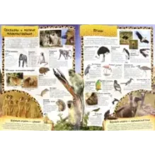 МегаZOOпанорама. Саванна