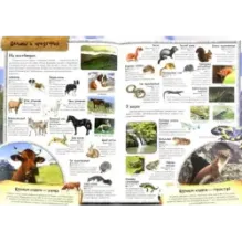 МегаZOOпанорама. Горы