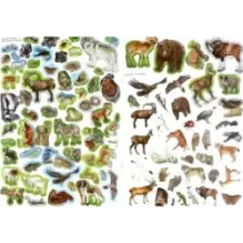 МегаZOOпанорама. Горы