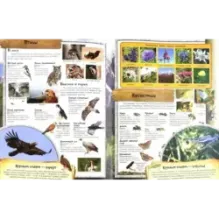 МегаZOOпанорама. Горы