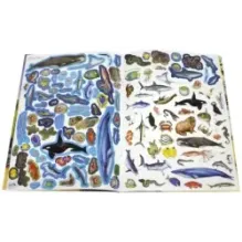 МегаZOOпанорама. Океан