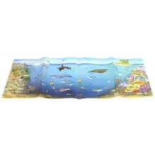 МегаZOOпанорама. Океан