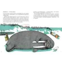 Морж и фиалки