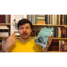 Дети дельфинов