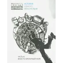 Книга Фурмана. История одного присутствия. Ч. 3. Вниз по кроличьей норе