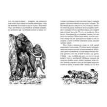 Земля Санникова