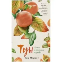 Тун. Лето в розовом городе