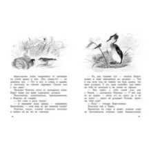 Лесные домишки. Сказки и рассказы