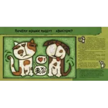 Кошачьи почему