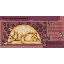 Кошачьи почему