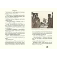 Госпожа Бовари