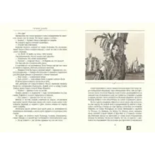 Госпожа Бовари