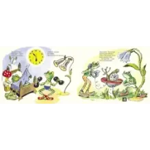 Квик и Квак