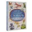 Англо-русский словарь для детей в картинках