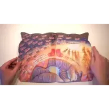 Как Кот стал Котом Котофеичем