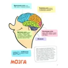 Как мы общаемся. От наскальной живописи до Интернета