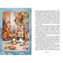 Таинственный остров