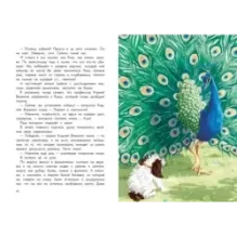 Кыш и я в Крыму