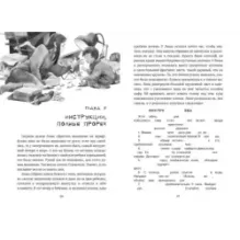 Город Эмбер