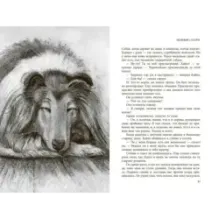 Собака - друг человека. Белый Бим Черное Ухо, Зов предков, Лесси. Комплект из 3-х книг