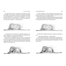 Ночной полет. Маленький принц