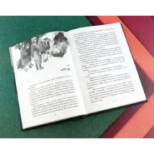 Пепельный дом