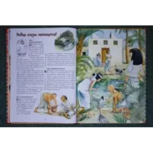 Египетский дневник. Записки Нехта