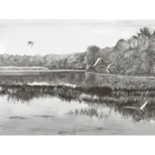 Белый Бим Черное Ухо