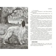 Белый Бим Черное Ухо