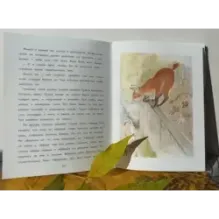 Фомка - белый медвежонок