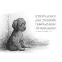 Пёс, который разучился лаять