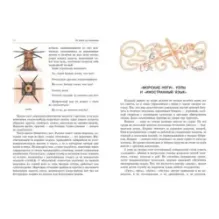 От юнги до капитана. Повседневная жизнь на парусных кораблях