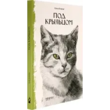 Под крыльцом