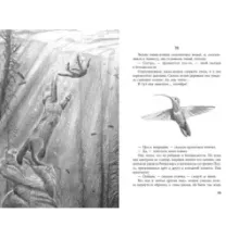 Под крыльцом